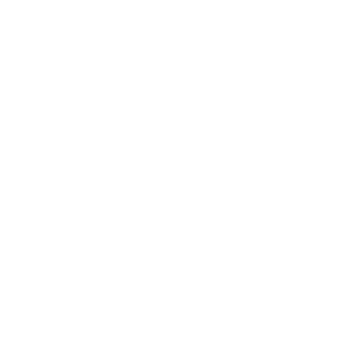 Storm Technologies Logo