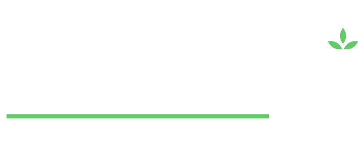 BloomAi